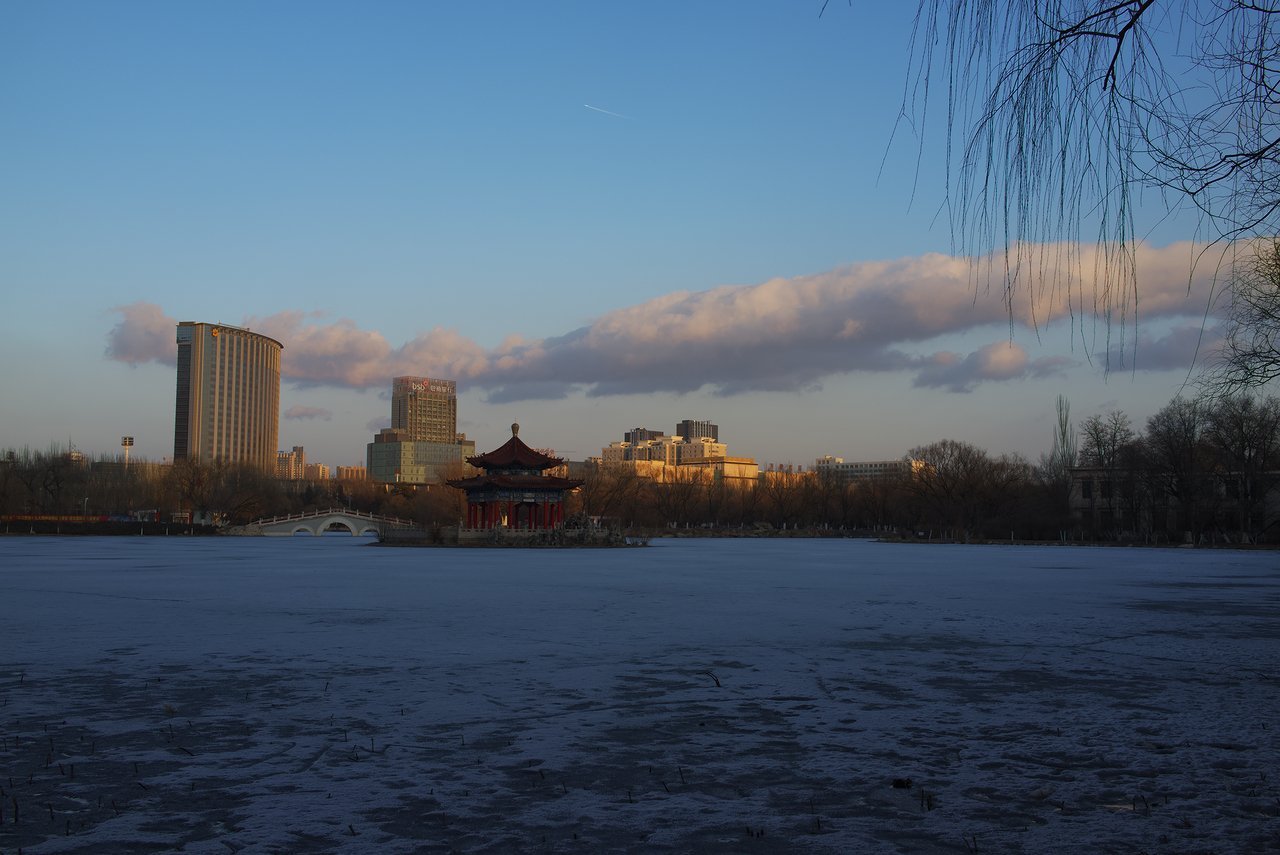 青城公園の池は凍っています
