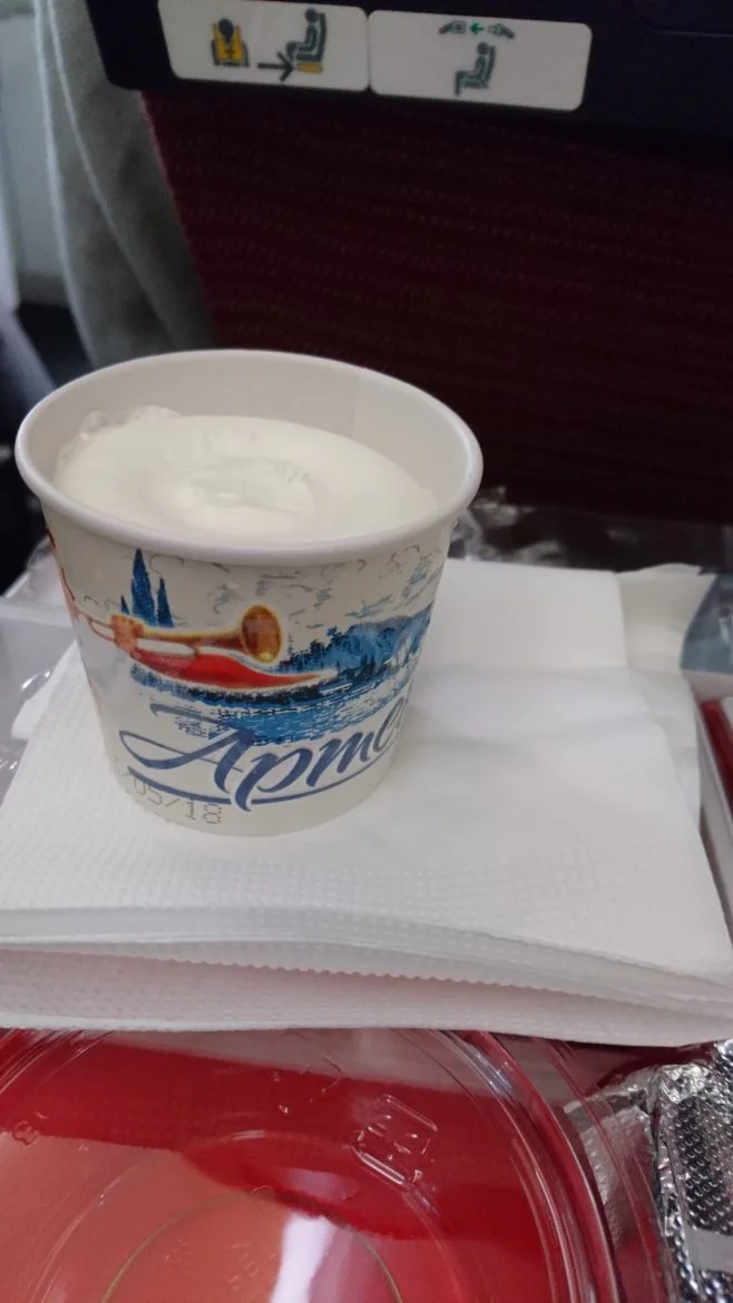JALのモスクワ→成田線で提供される美味しいアイスクリーム