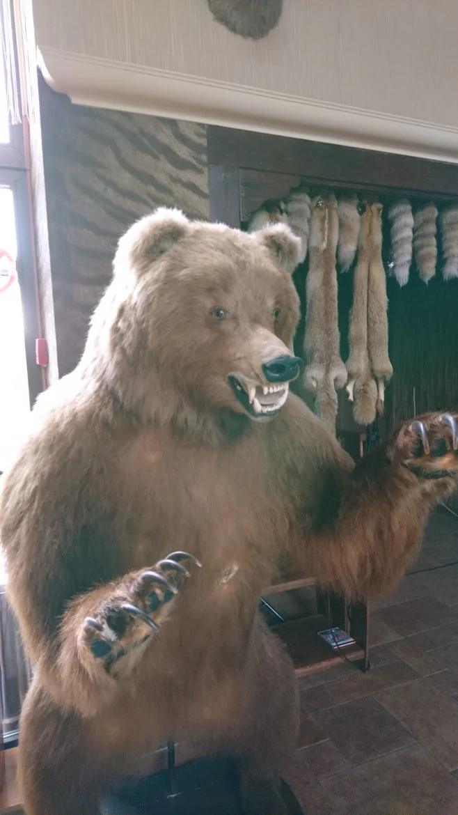 ホテルのロビーに飾られていた熊の剥製